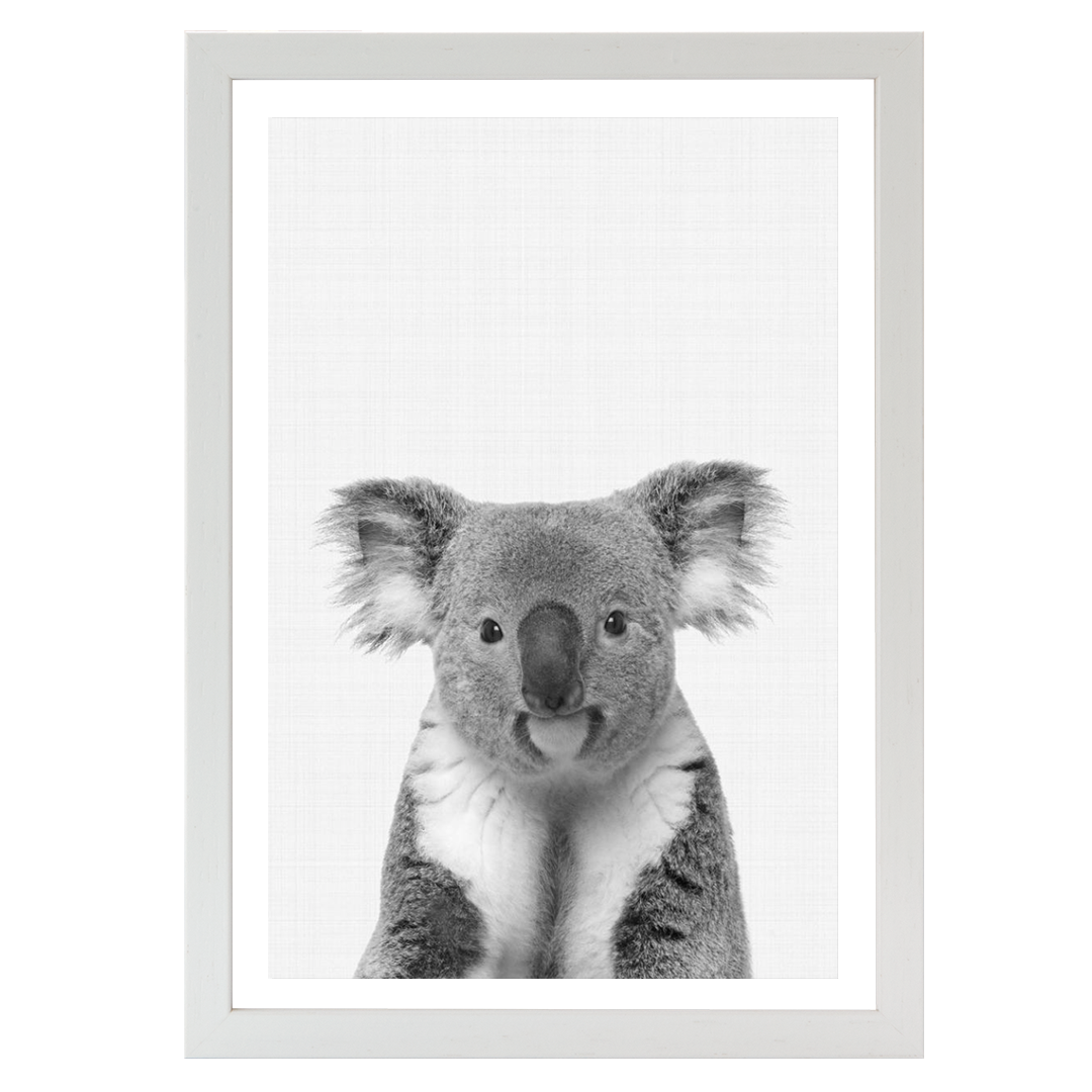 Koala Portrait B&W