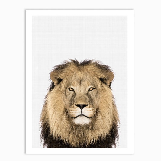 Lion Portrait Print