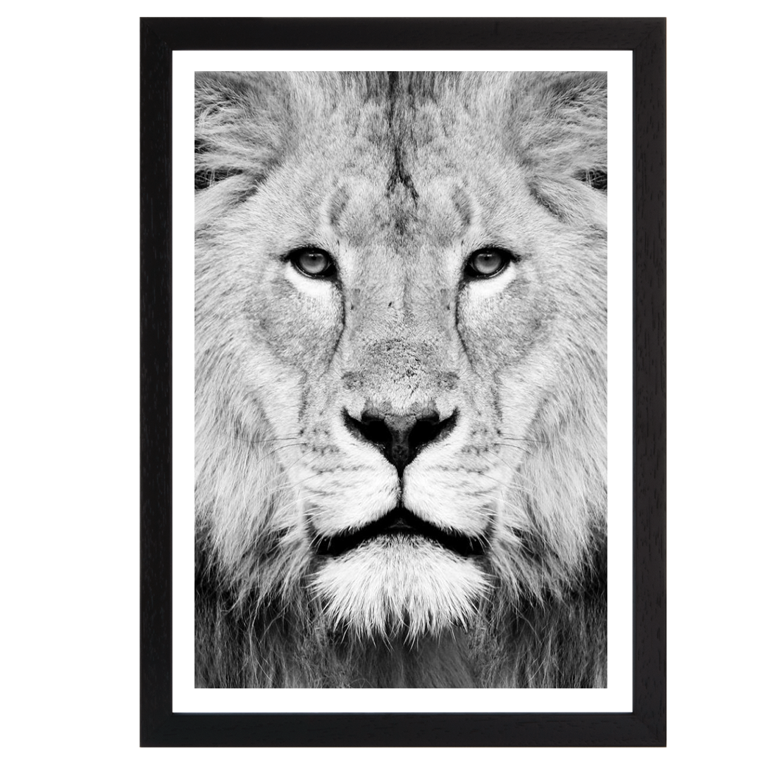 Lion Portrait Print B&W