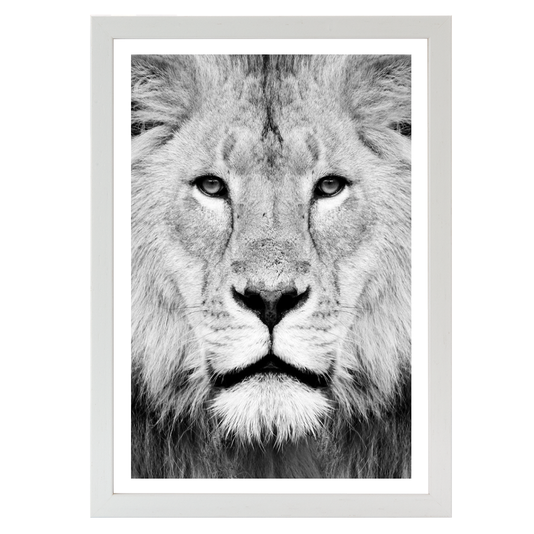 Lion Portrait Print B&W