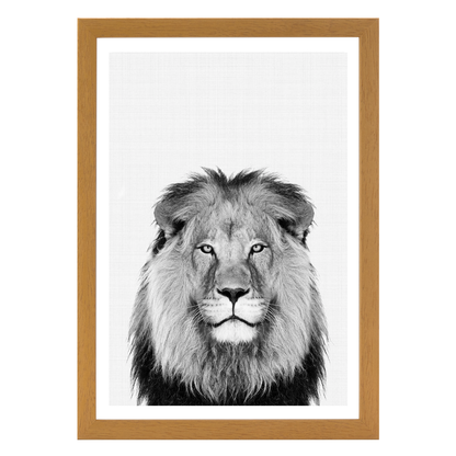 Lion Portrait Print