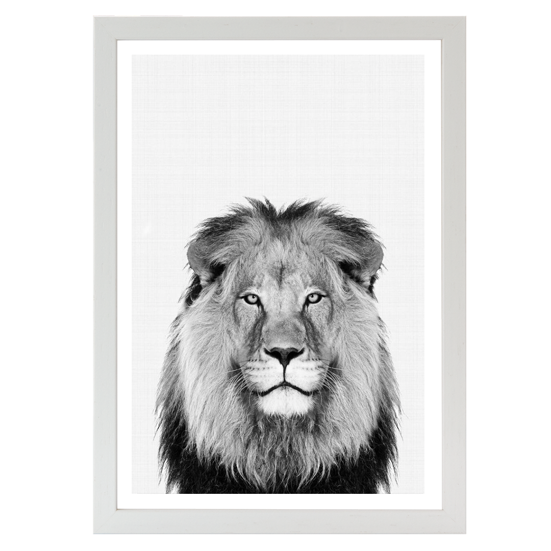 Lion Portrait Print