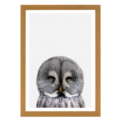 Owl Portrait 2 Print