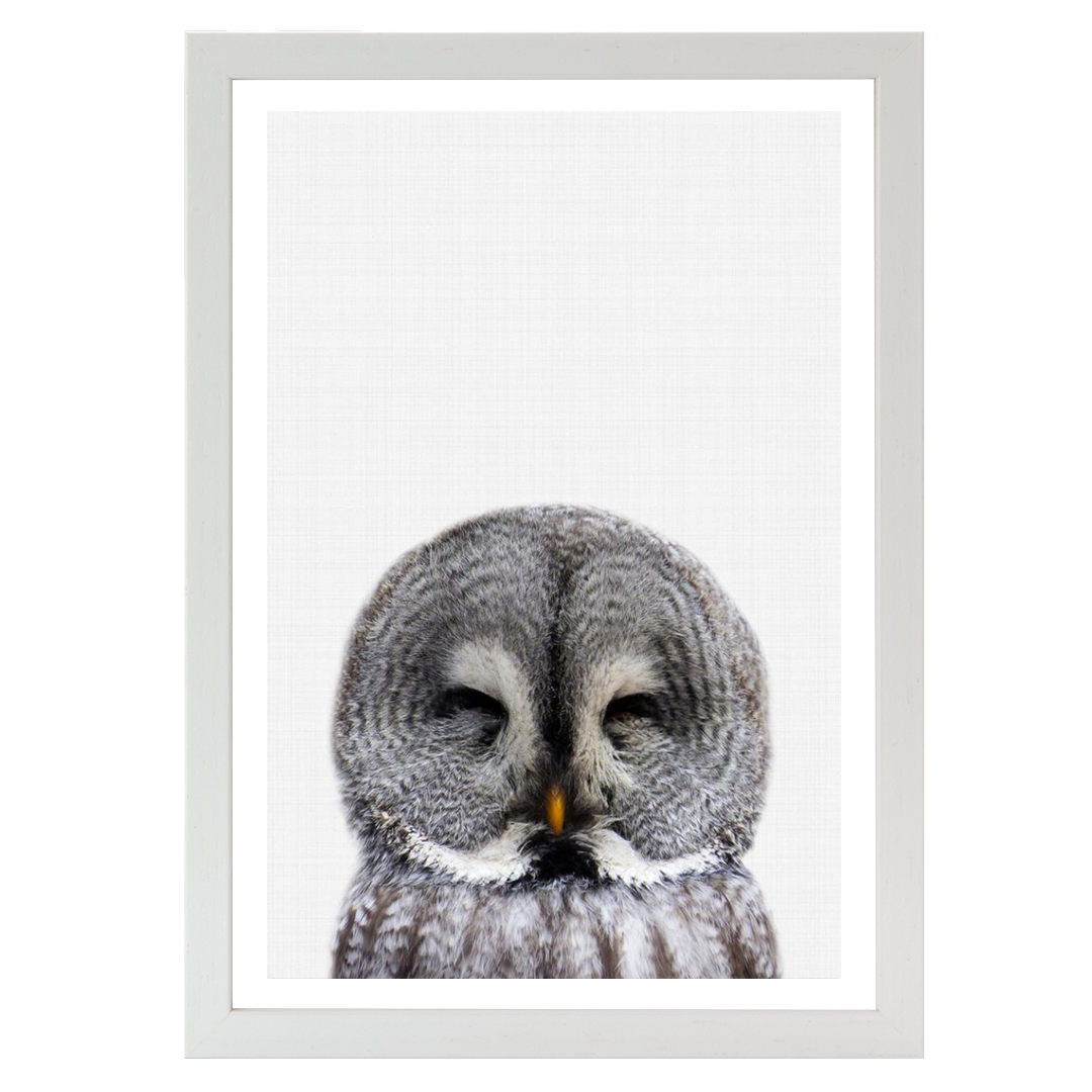 Owl Portrait 2 Print