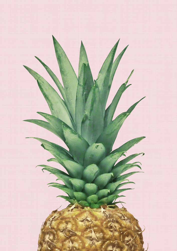 Pineapple II Print