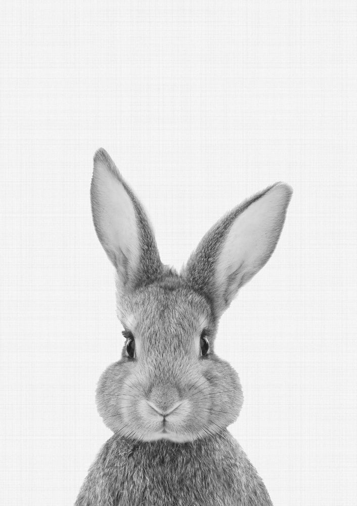 Rabbit Portrait Print