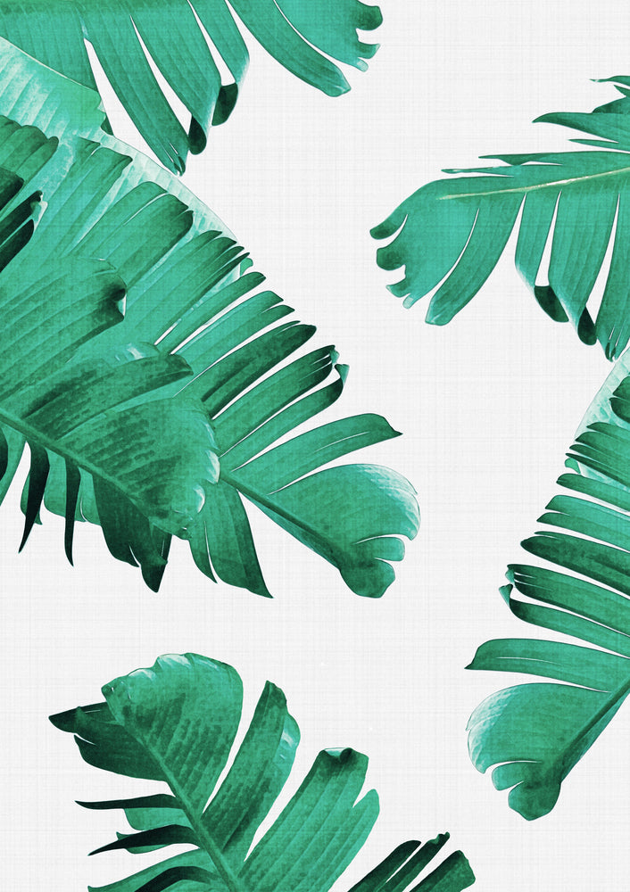 Tropical 2 Print