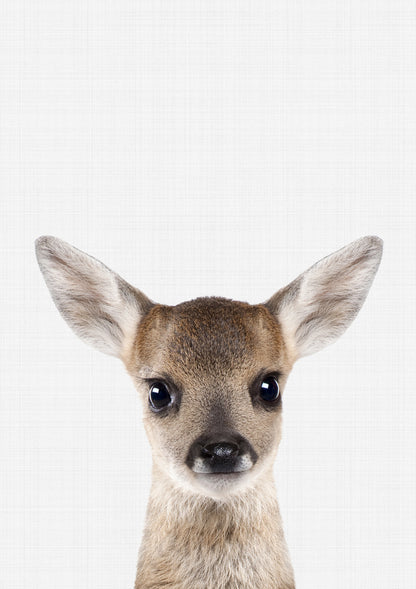 Fawn Portrait Print