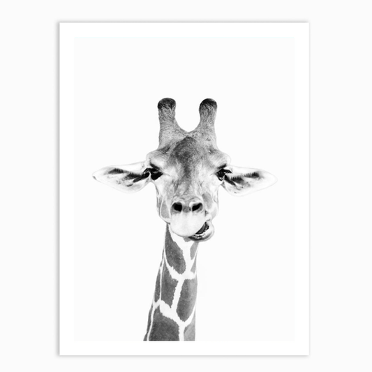 Hey Giraffe bw