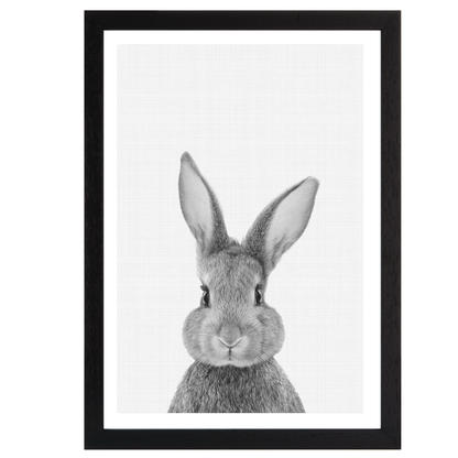 Rabbit Portrait Print