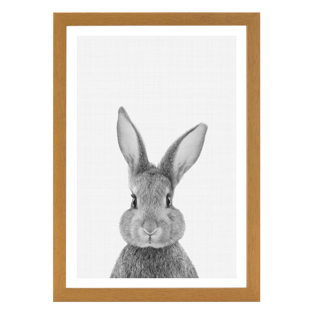 Rabbit Portrait Print