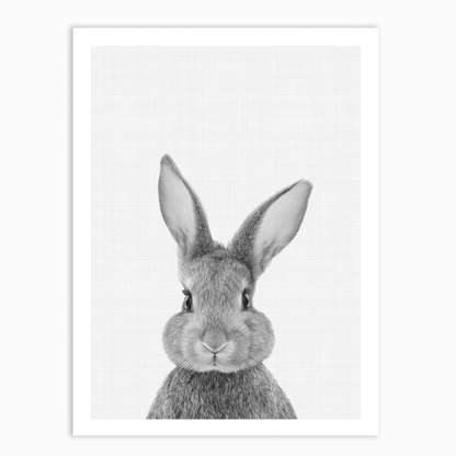 Rabbit Portrait Print