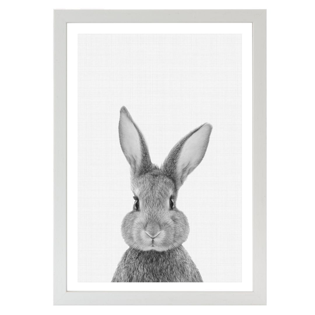 Rabbit Portrait Print