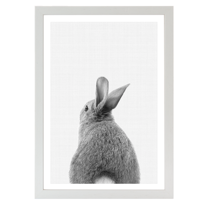 Rabbit Tail B&W