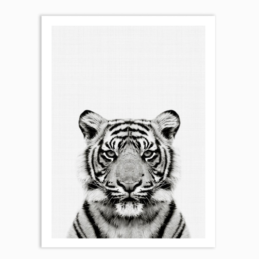 Tiger Portrait Print