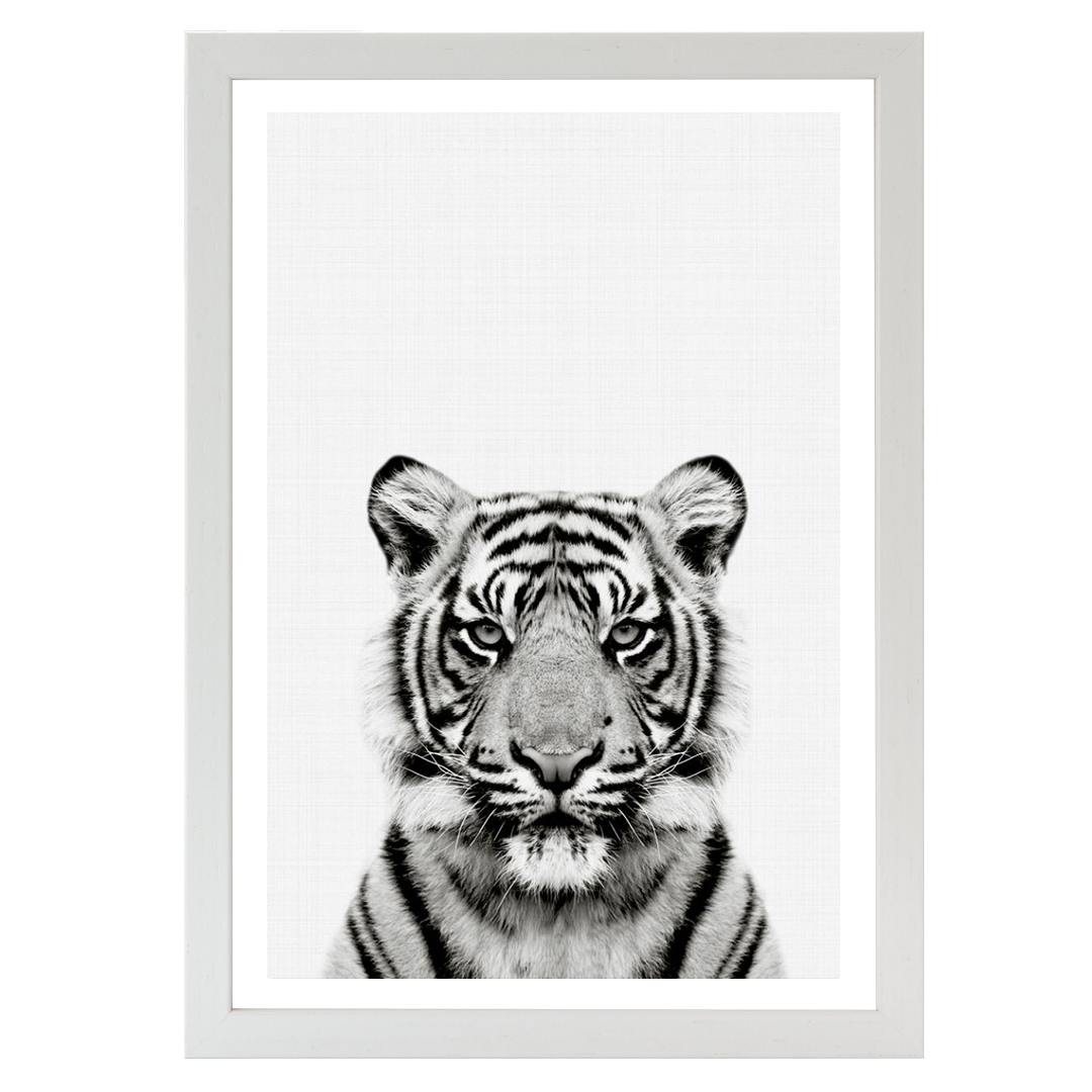 Tiger Portrait Print