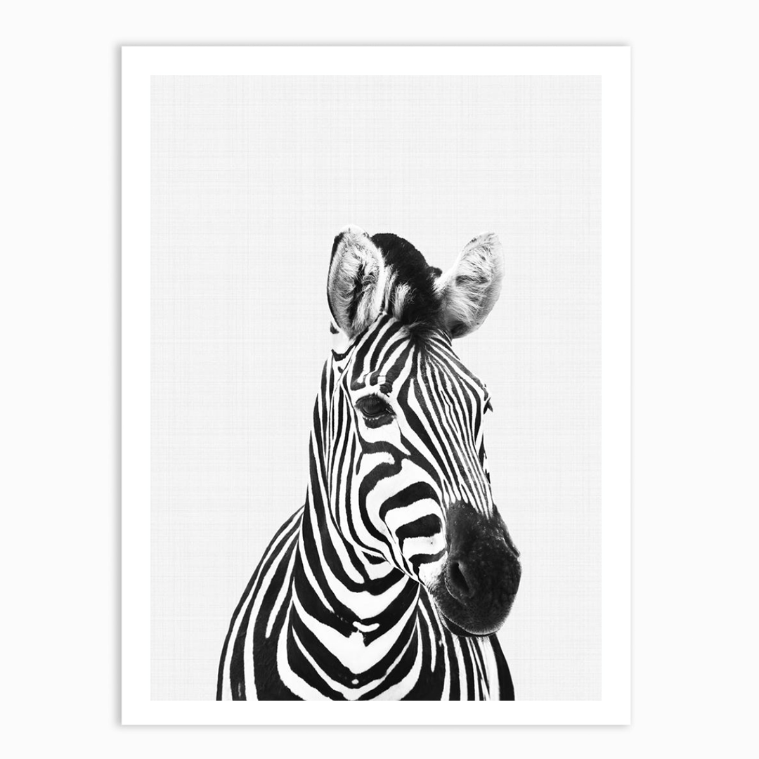 Zebra B&W