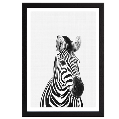 Zebra B&W