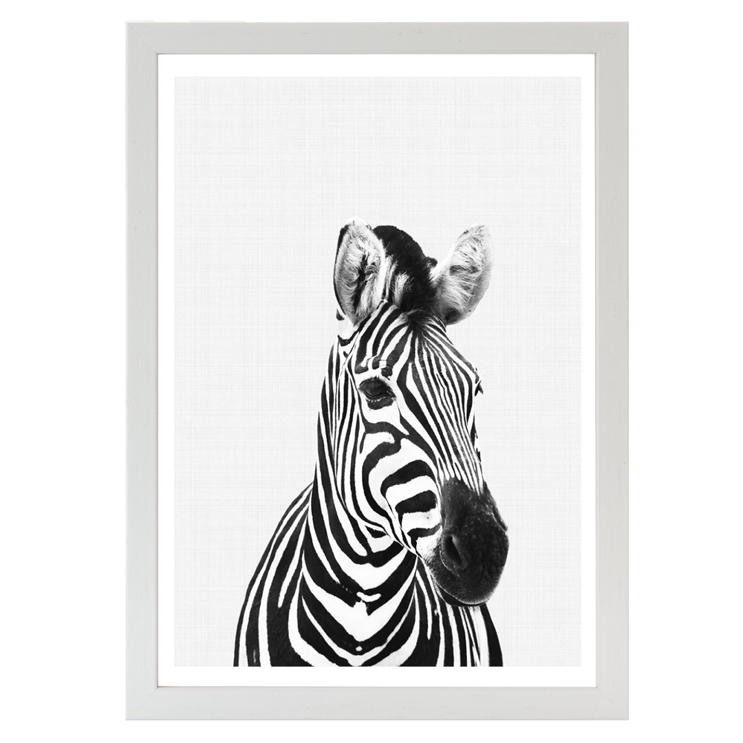 Zebra B&W