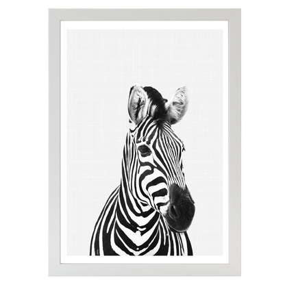 Zebra B&W