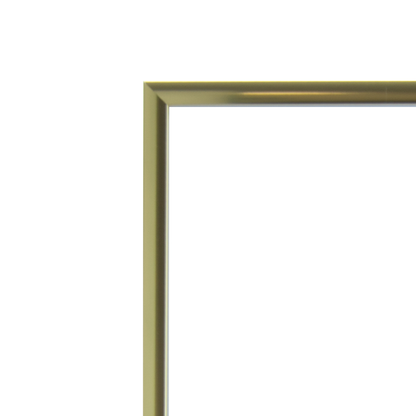 Thin Gold frame