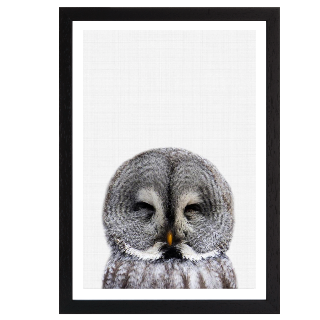 Owl Portrait 2 Print